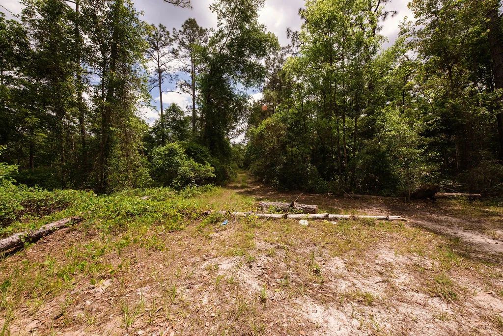 Decorative background for Buy .46 Acres w/o Breaking the Bank image 10