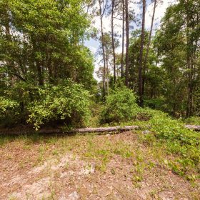 Buy .46 Acres w/o Breaking the Bank in Putnam County, FL