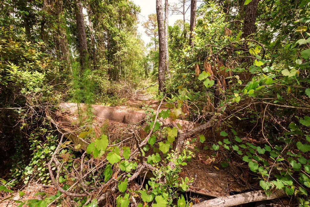 Decorative background for Buy .46 Acres w/o Breaking the Bank image 5