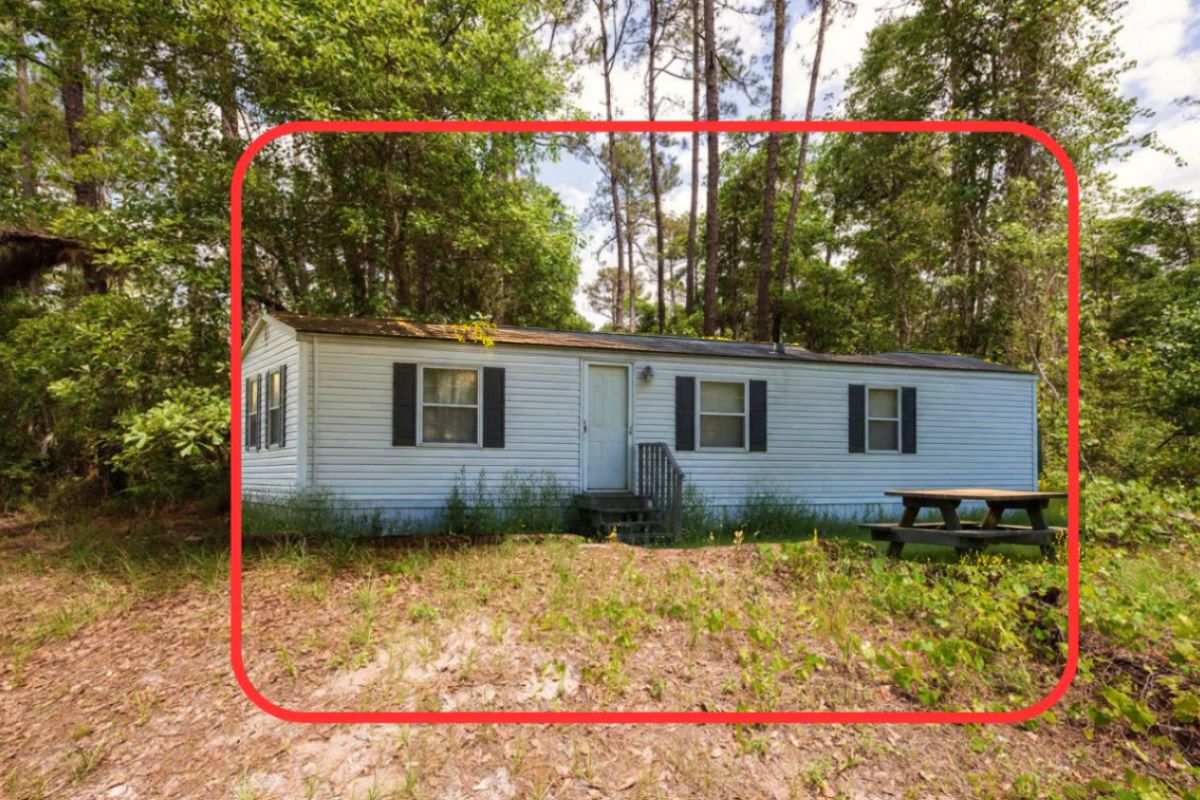 Buy .46 Acres w/o Breaking the Bank - Image 3