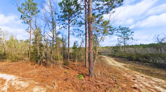 Lock in Your Florida Future $200! in Putnam County, FL
