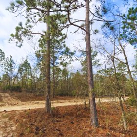 Lock in Your Florida Future $200! in Putnam County, FL