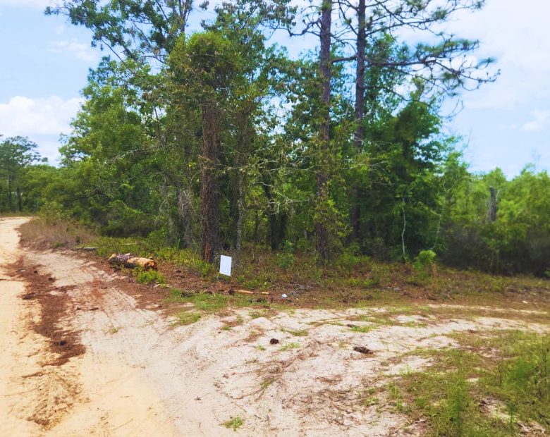 Lock in Your Florida Future $200! in Putnam County, FL