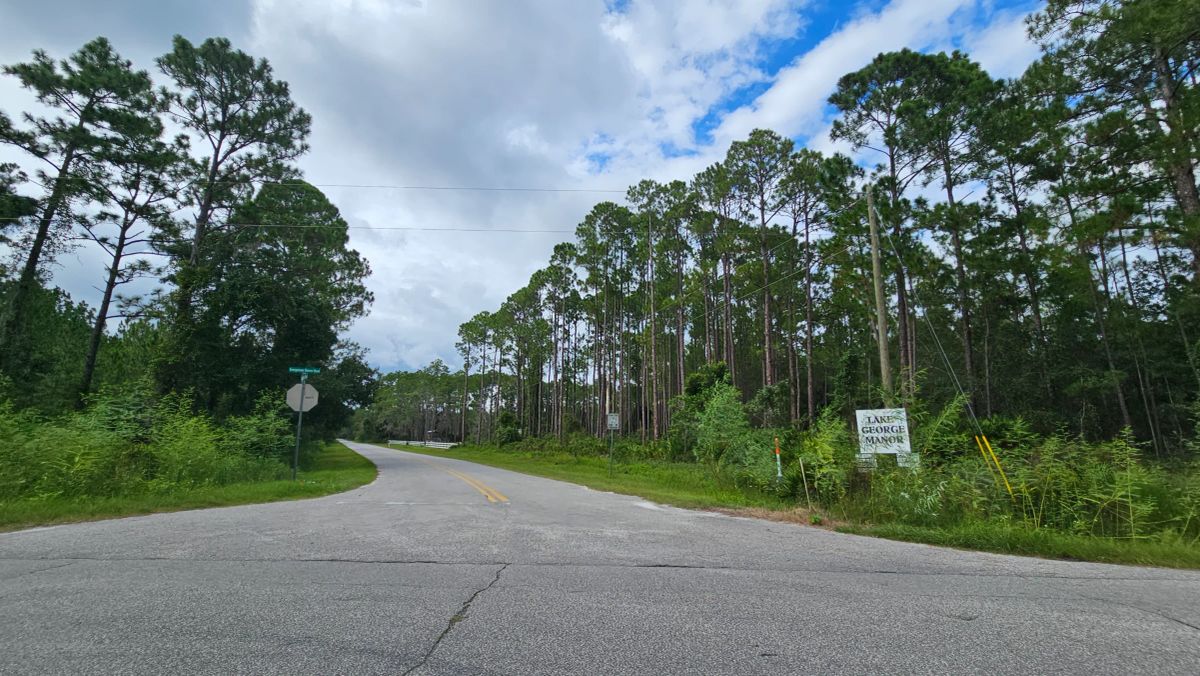 Decorative background for FL Land for Sale Near Lake George image 14