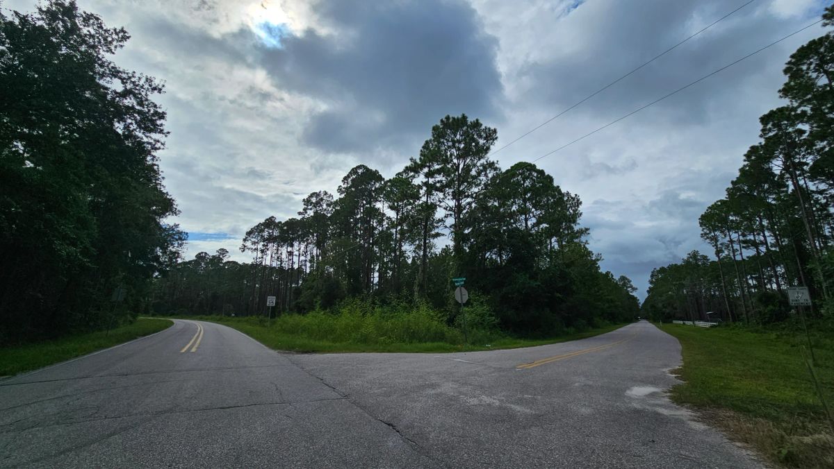 Decorative background for FL Land for Sale Near Lake George image 15