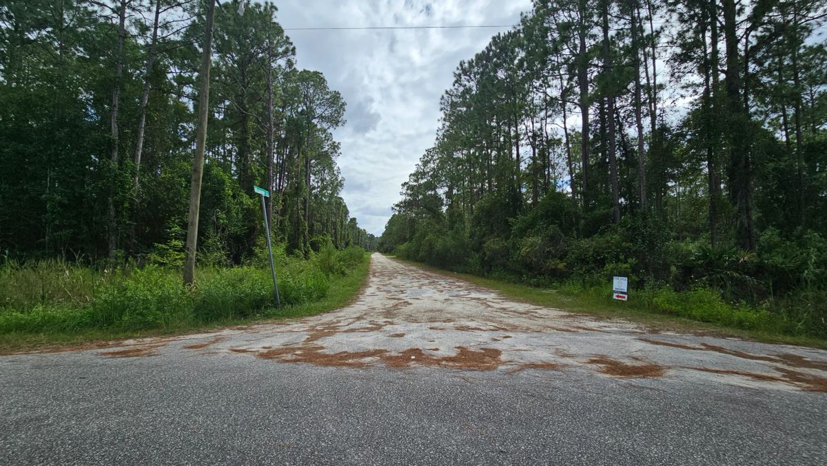 Decorative background for FL Land for Sale Near Lake George image 16