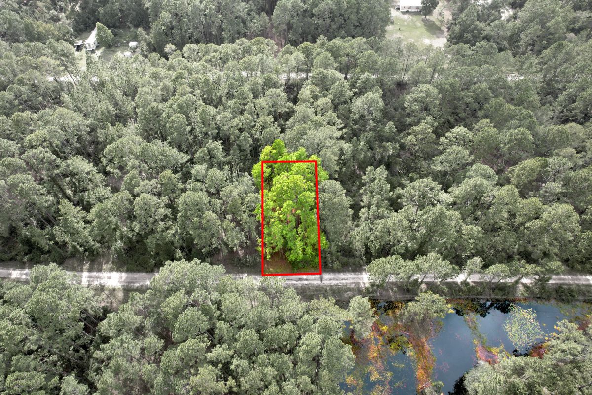 Decorative background for FL Land for Sale Near Lake George image 12