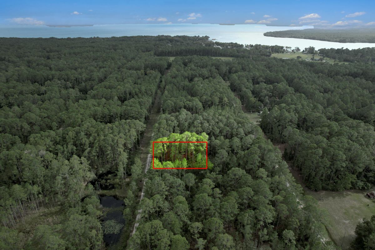 FL Land for Sale Near Lake George - Image 3
