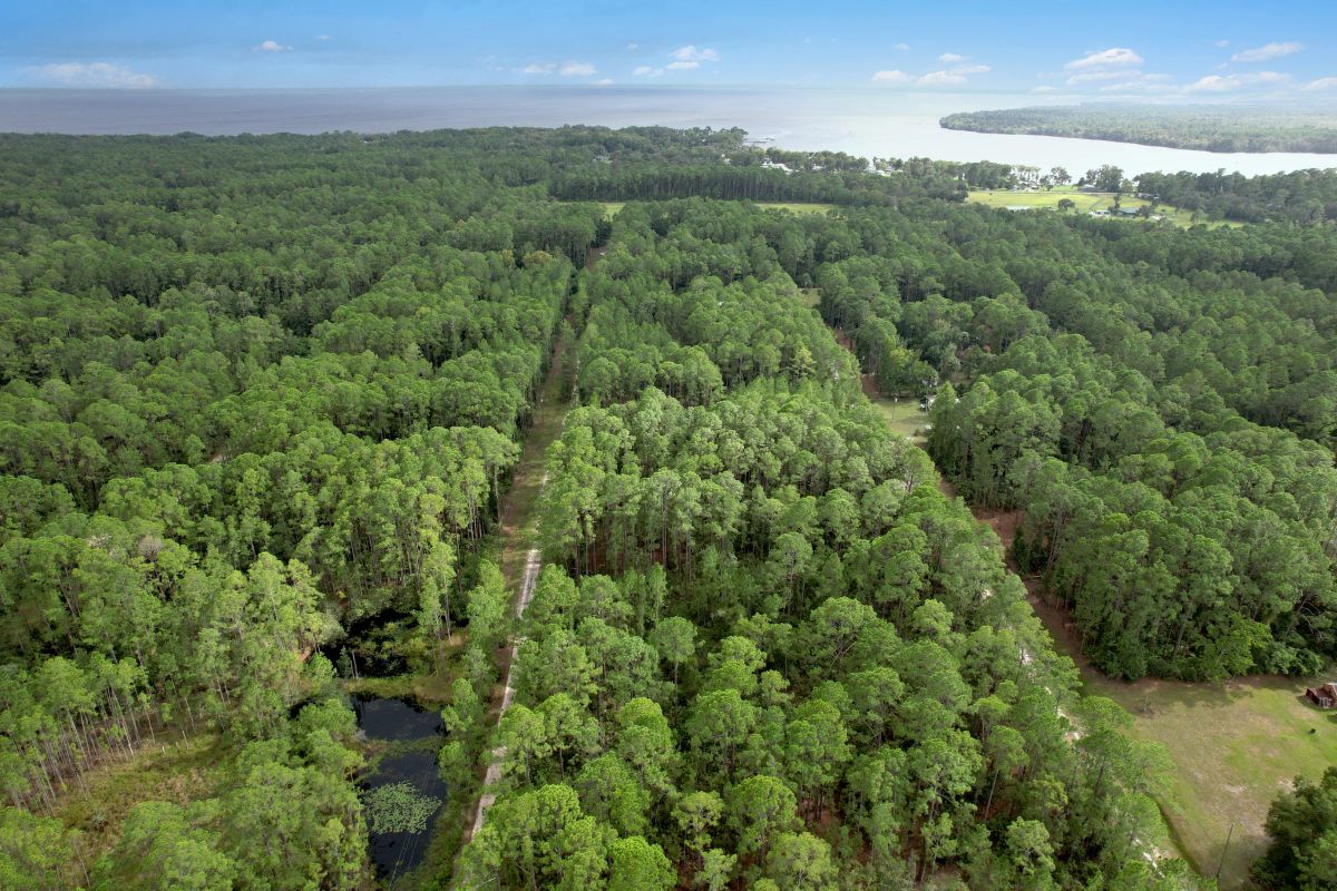 FL Land for Sale Near Lake George - Image 2