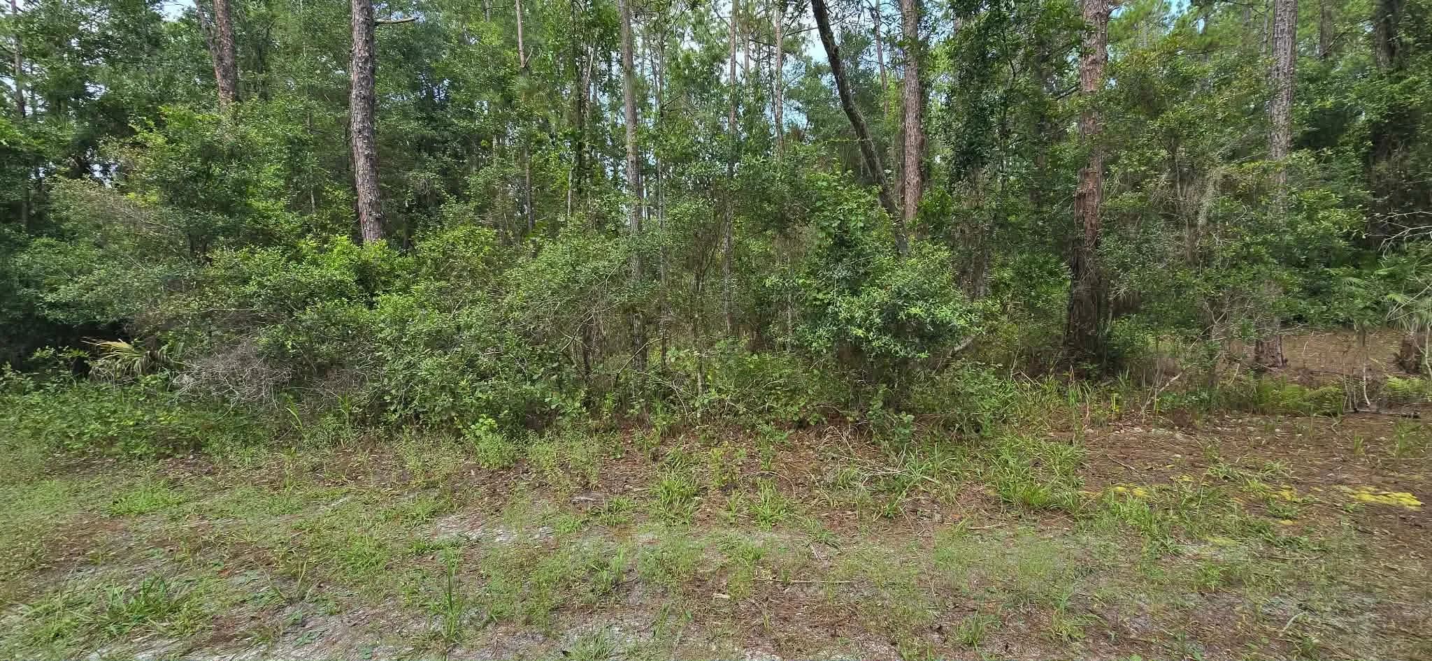 Stop Renting Plan your FL Place in Putnam County, FL