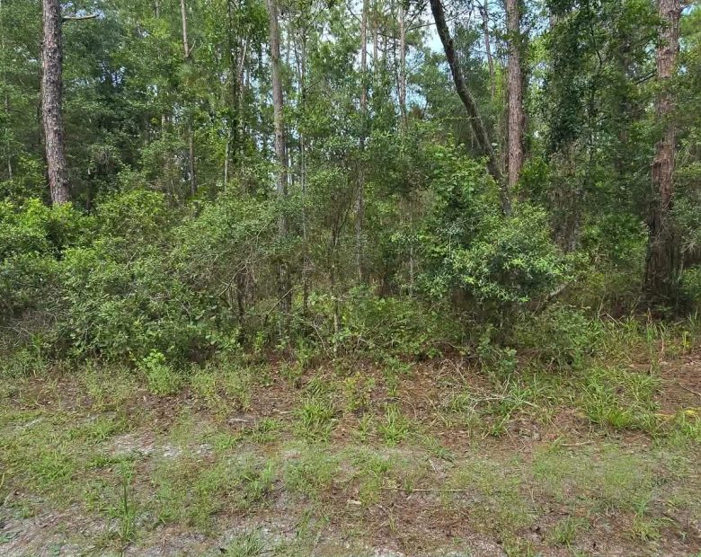 Stop Renting Plan your FL Place in Putnam County, FL