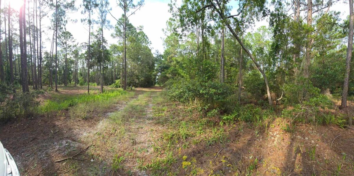 Own Your Land Near Lake George - Image 2