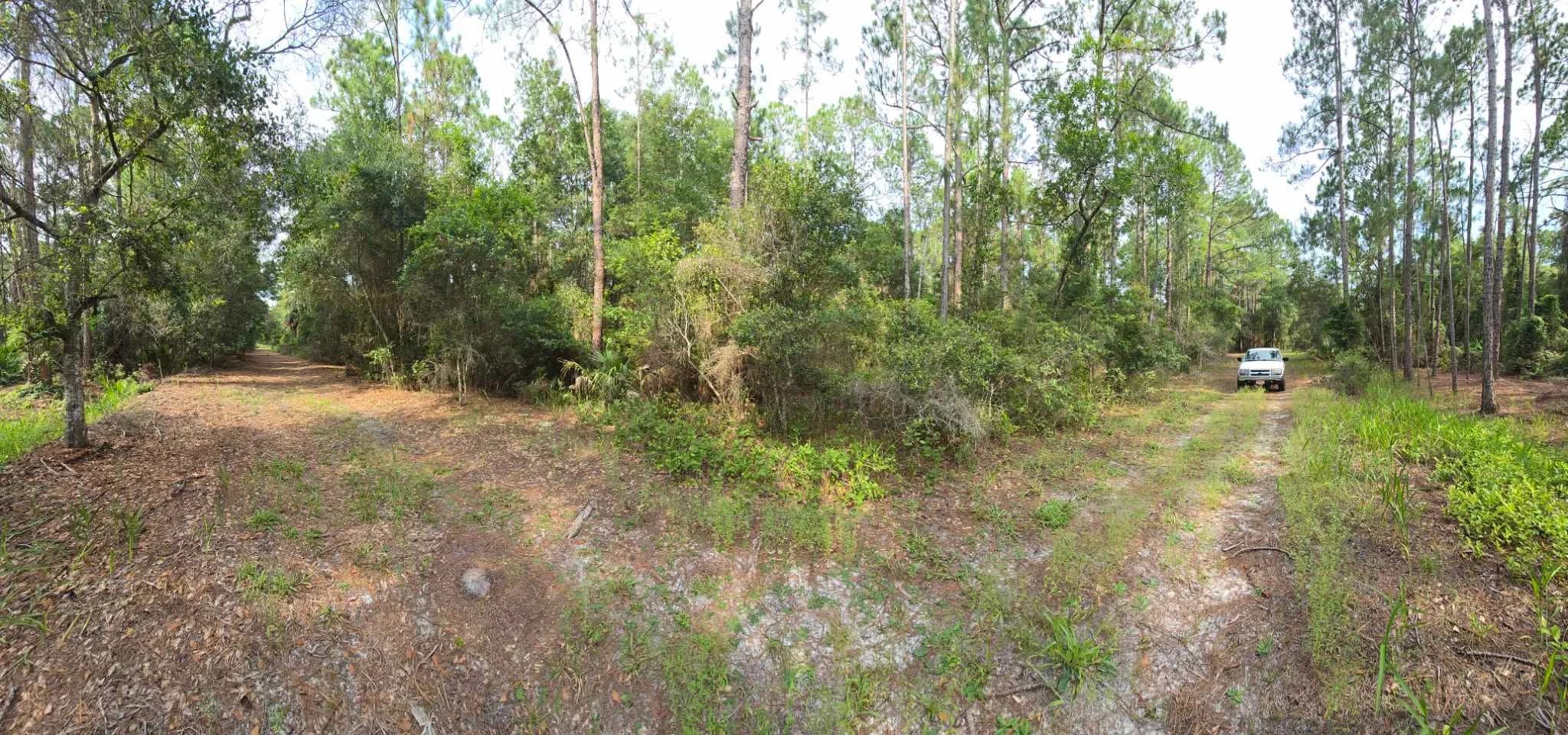 Own Your Land Near Lake George in Putnam County, FL