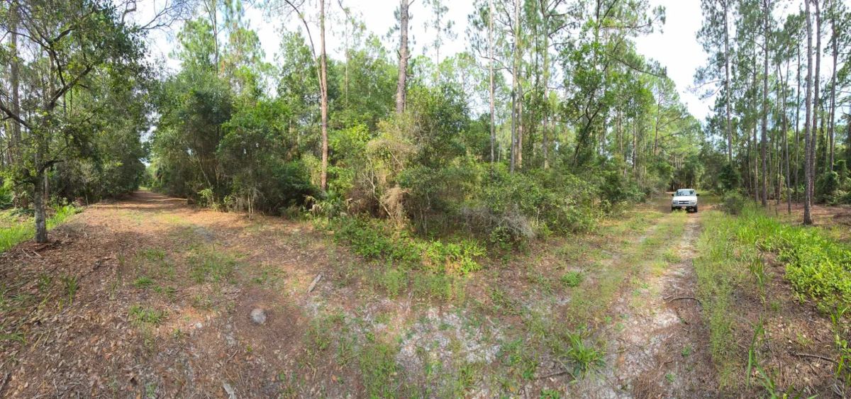 Own Your Land Near Lake George - Image 3