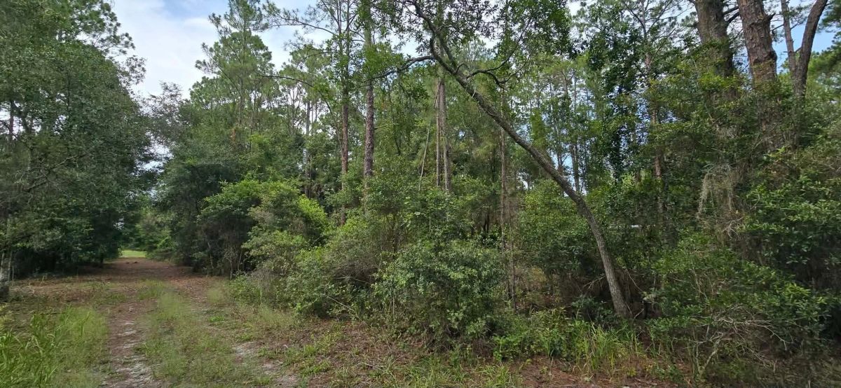 Own Your Land Near Lake George - Main image