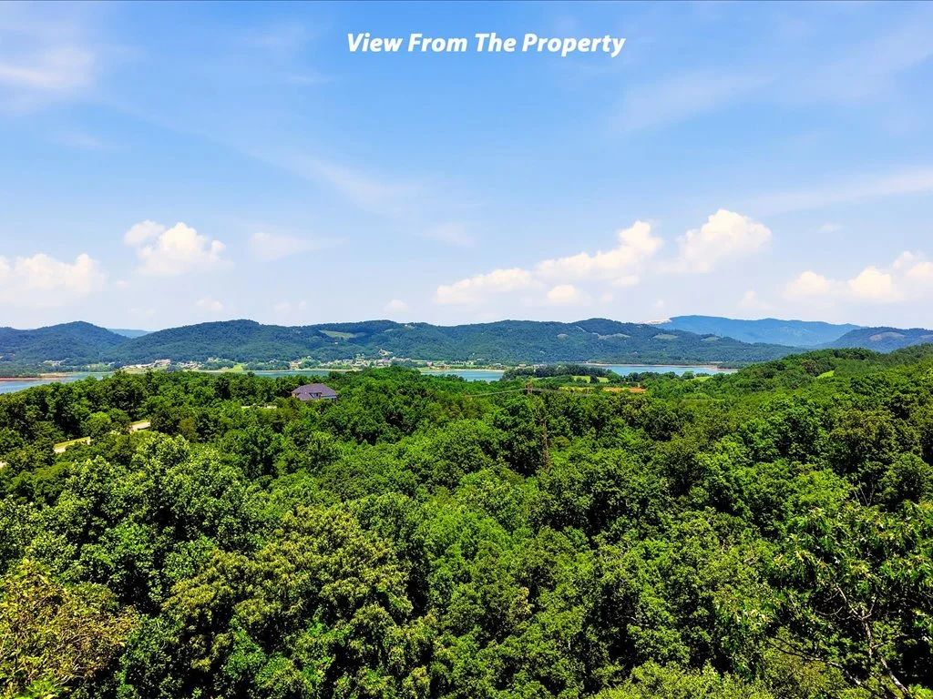 Cherokee Lake Access Lot - Image 2