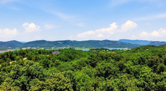 Cherokee Lake Access Lot in Hamblen County, TN