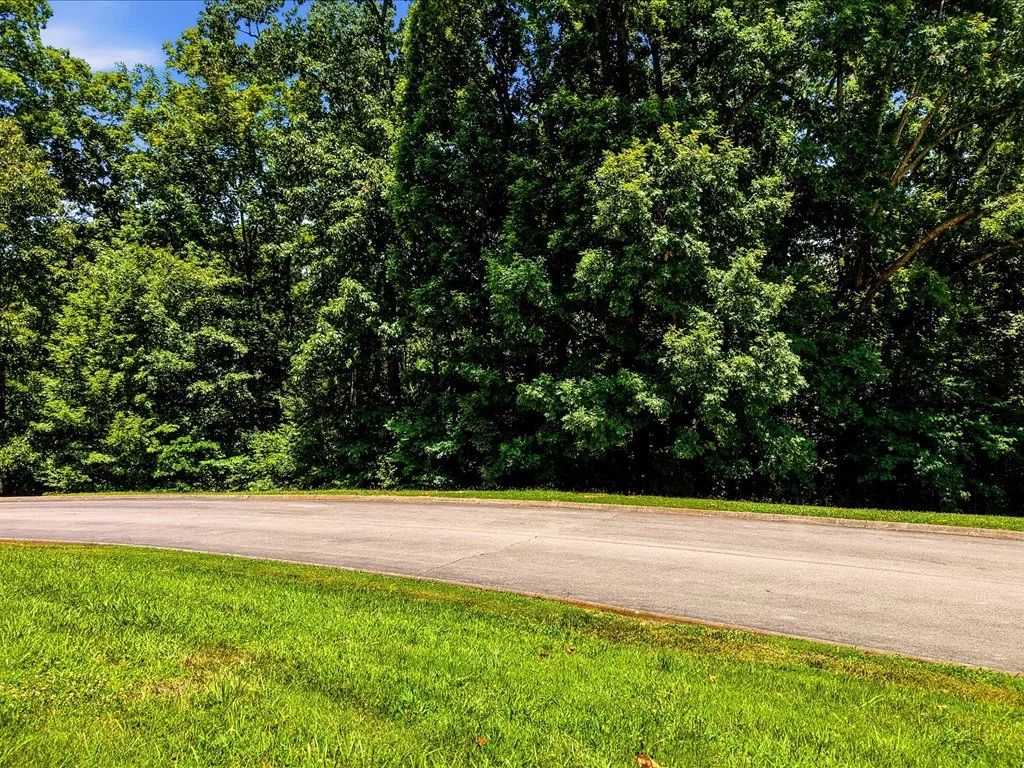 Cherokee Lake Access Lot - Image 3