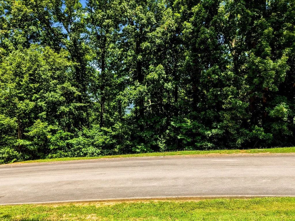 Cherokee Lake Access Lot - Image 4