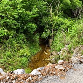 Cleared, Level, Unrestricted Lot in Cocke County, TN