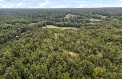 90 Unrestricted Hunting/Recreational Acres 1.25 Hours From Nashville
