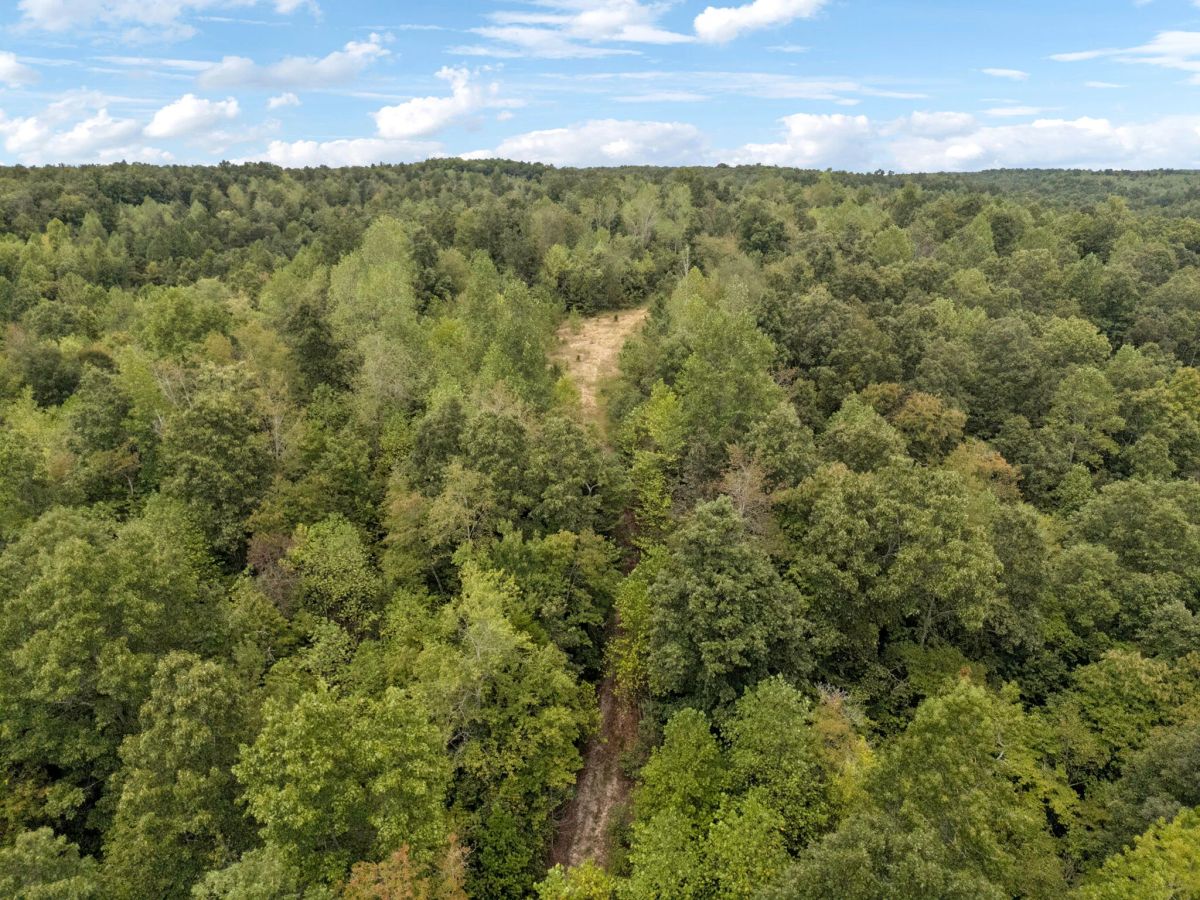 90 Unrestricted Hunting/Recreational Acres 1.25 Hours From Nashville - Image 2