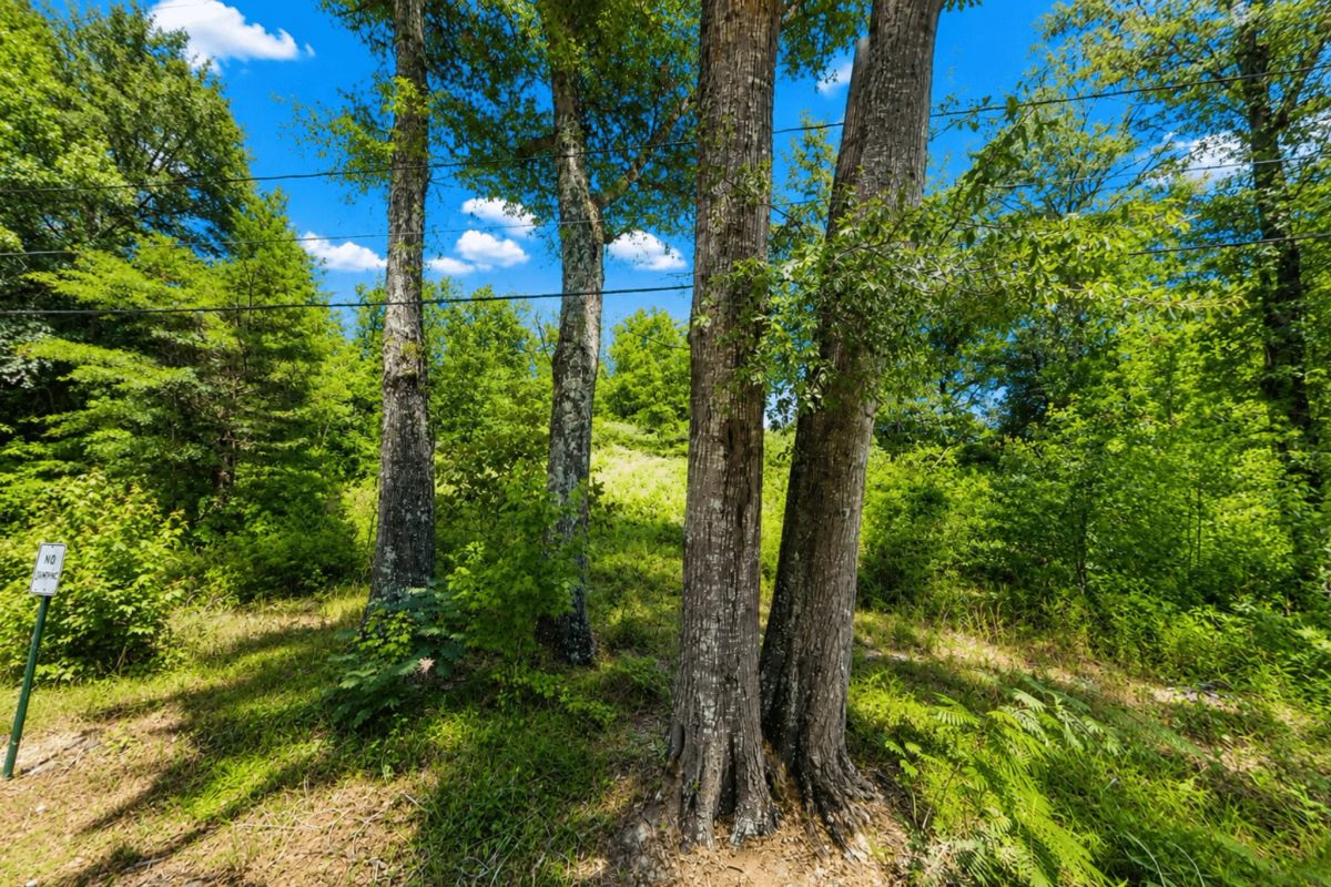 0.14 Acres of Peace, Privacy & Investment - Image 2
