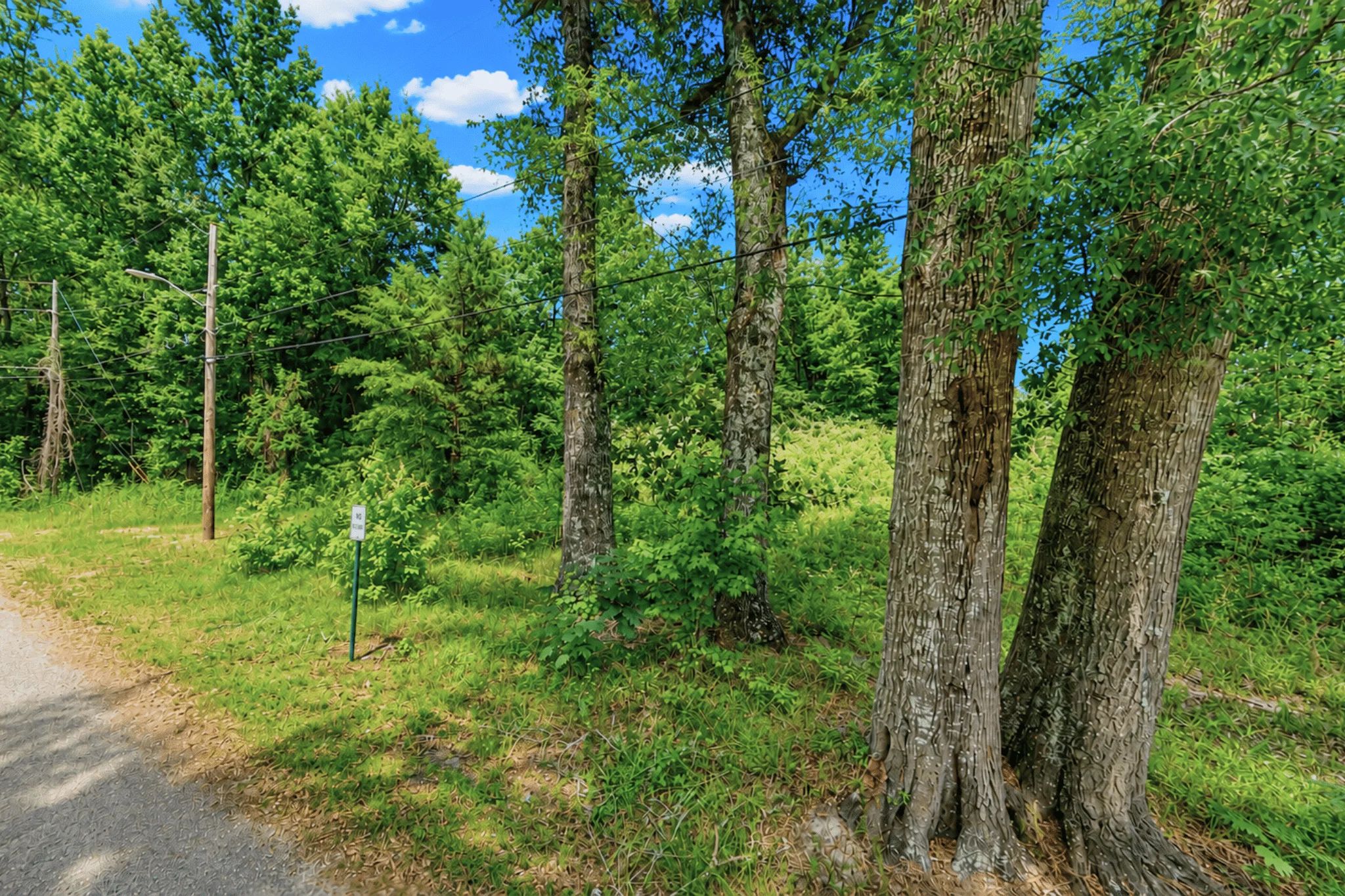 0.14 Acres of Peace, Privacy & Investment in Jones County, MS