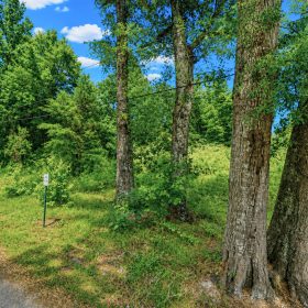 0.14 Acres of Peace, Privacy & Investment in Jones County, MS