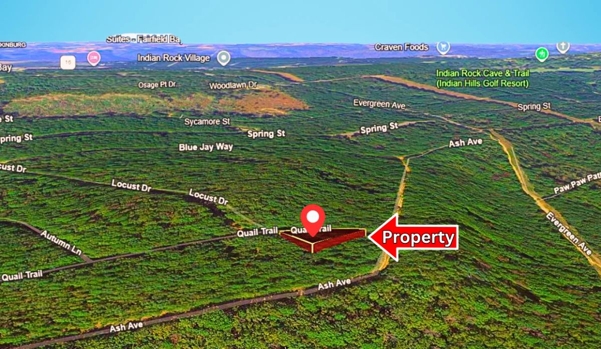 Decorative background for 0.24-Acre Lot in a Prime Location in Fairfield Bay, AR image 5