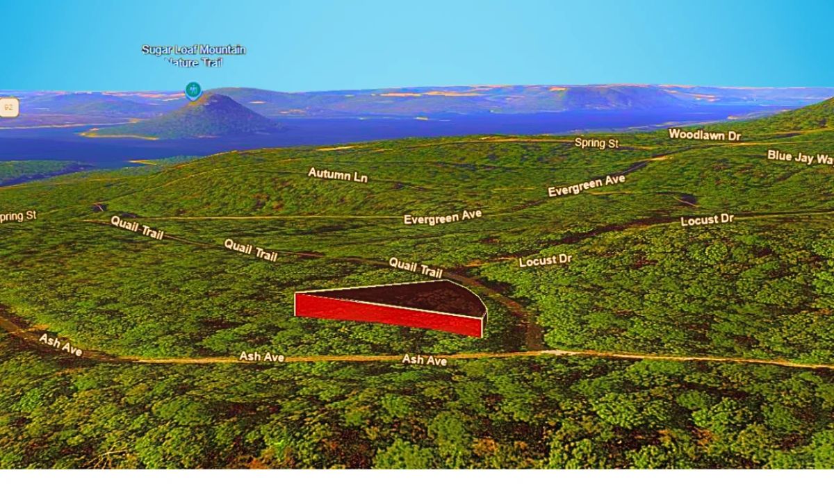 Decorative background for 0.24-Acre Lot in a Prime Location in Fairfield Bay, AR image 8