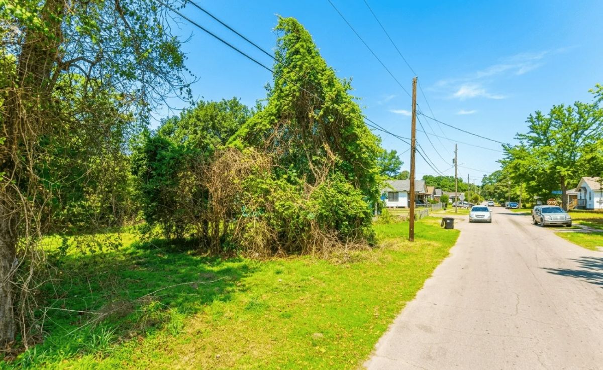 Decorative background for 0.11-Acre Investment Lot Close to City image 7