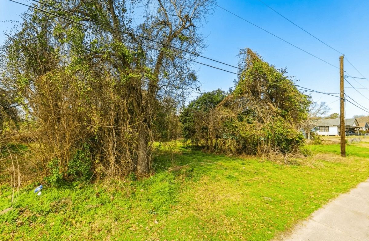 Decorative background for 0.11-Acre Investment Lot Close to City image 9
