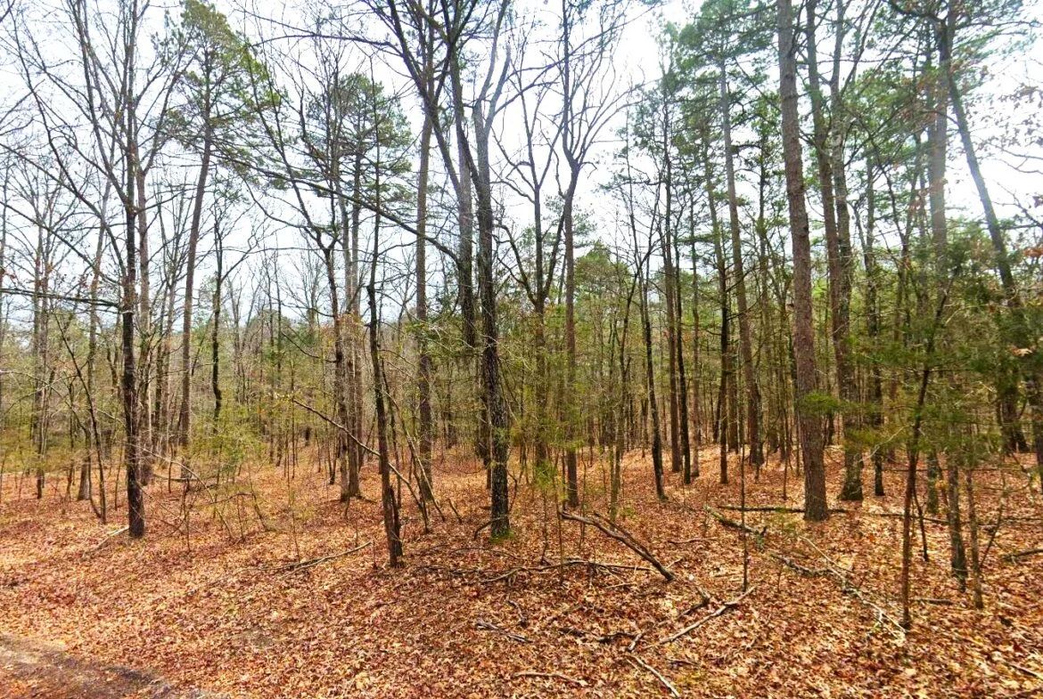 0.26-Acre Cheap Land for Sale in Arkansas Ozarks - Image 2