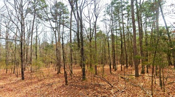 0.26-Acre Cheap Land for Sale in Arkansas Ozarks in Van Buren County, AR