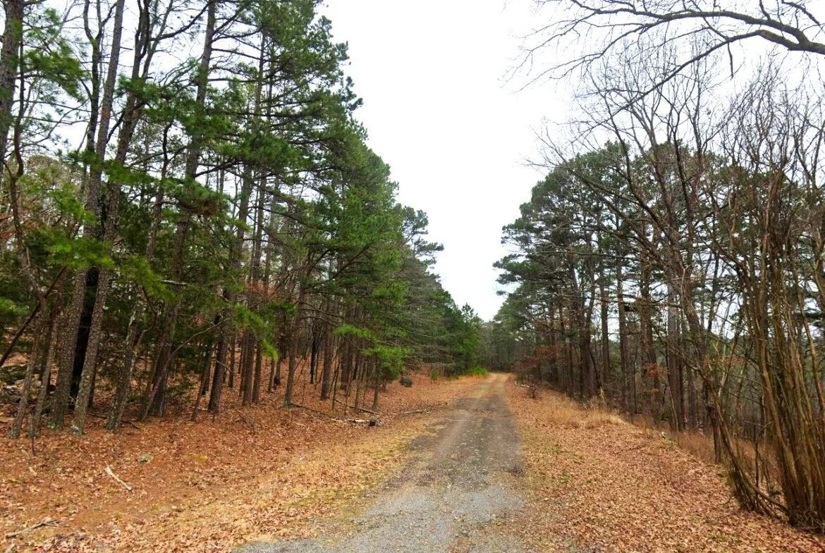 0.26-Acre Mountain View Arkansas - Image 2