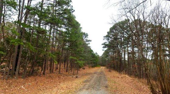 0.26-Acre Mountain View Arkansas in Van Buren County, AR