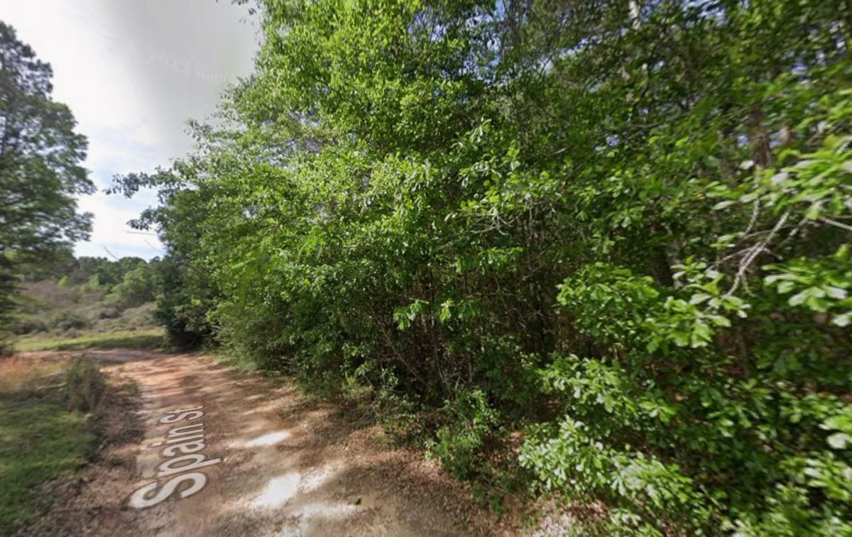 0.28 Acre Wooded Lot Near Lake! - Image 3