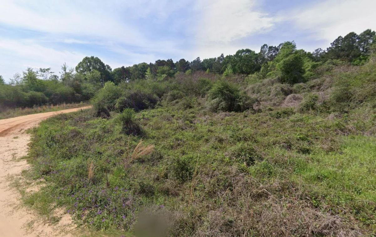 Decorative background for 0.28 Acre Wooded Lot Near Lake! image 10