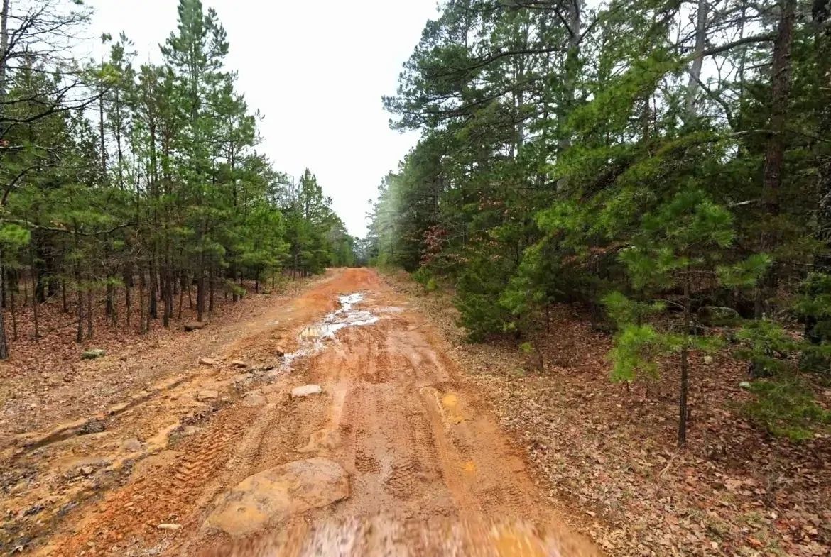 0.23-Acre Land in Ozark Arkansas For Sale - Image 2