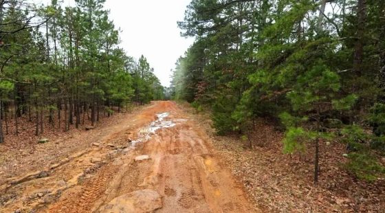 0.23-Acre Land in Ozark Arkansas For Sale in Van Buren County, AR