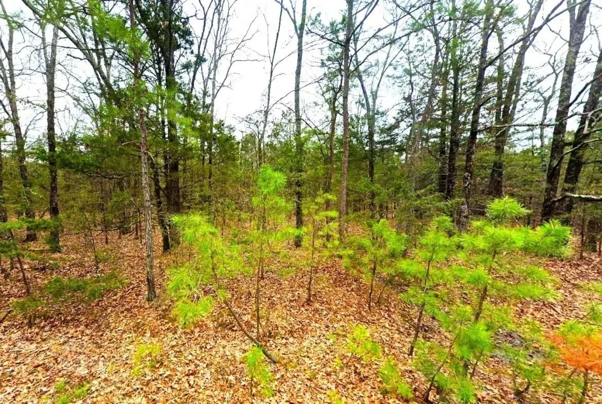 0.23-Acre Land in Ozark Arkansas For Sale - Image 3