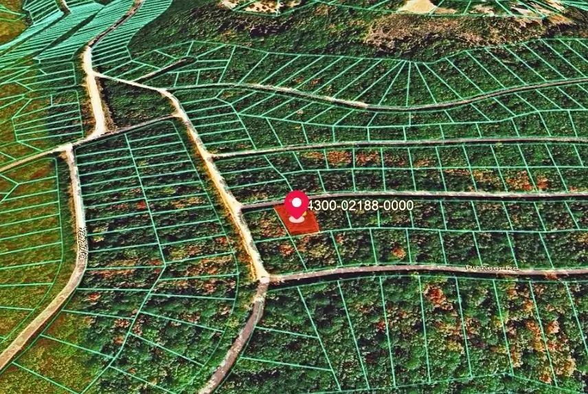 0.23-Acre Land in Ozark Arkansas For Sale - Image 4