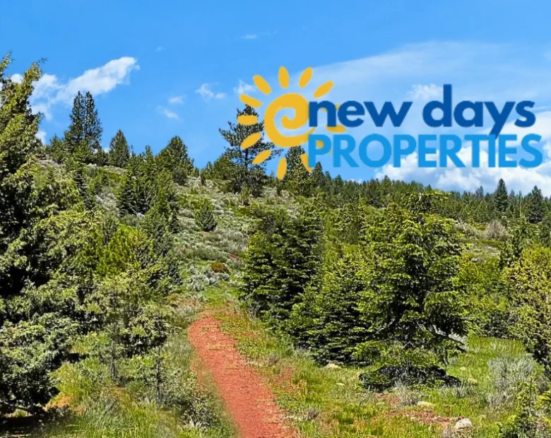 1.84-Acre Wooded Lot for Sale in Alturas, CA in Modoc County, CA