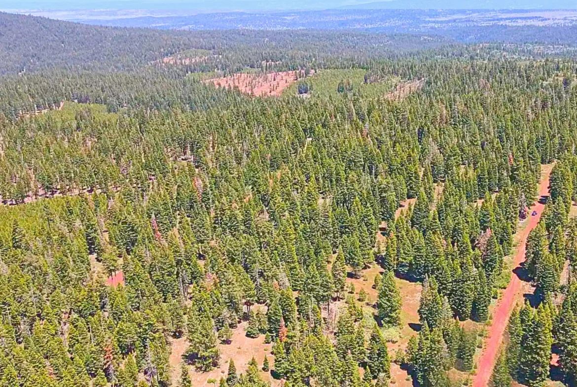 1.84-Acre Wooded Lot for Sale in Alturas, CA - Image 3
