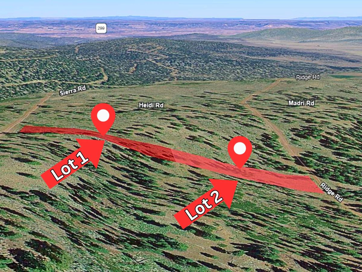 Decorative background for 1.84-Acre Wooded Lot for Sale in Alturas, CA image 8