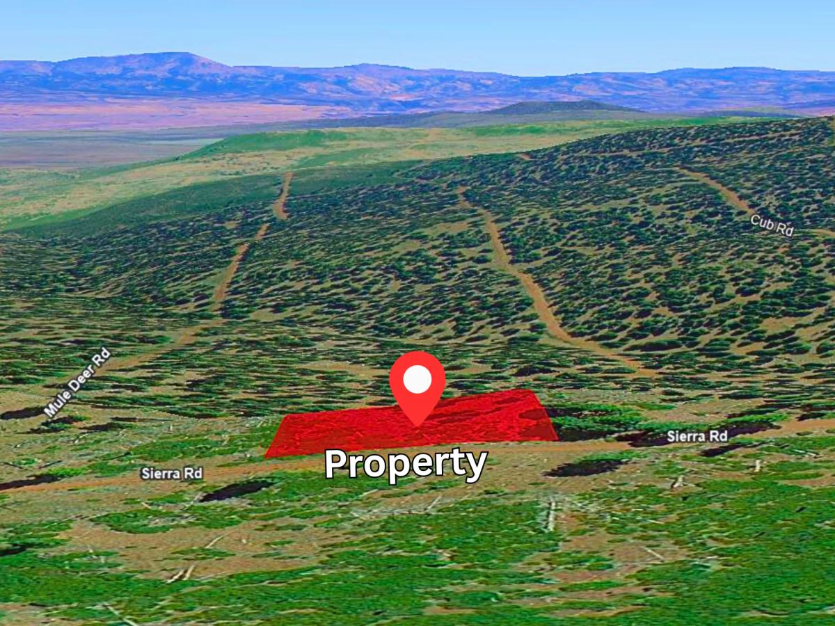 Decorative background for 1.84-Acre Wooded Lot for Sale in Alturas, CA image 9