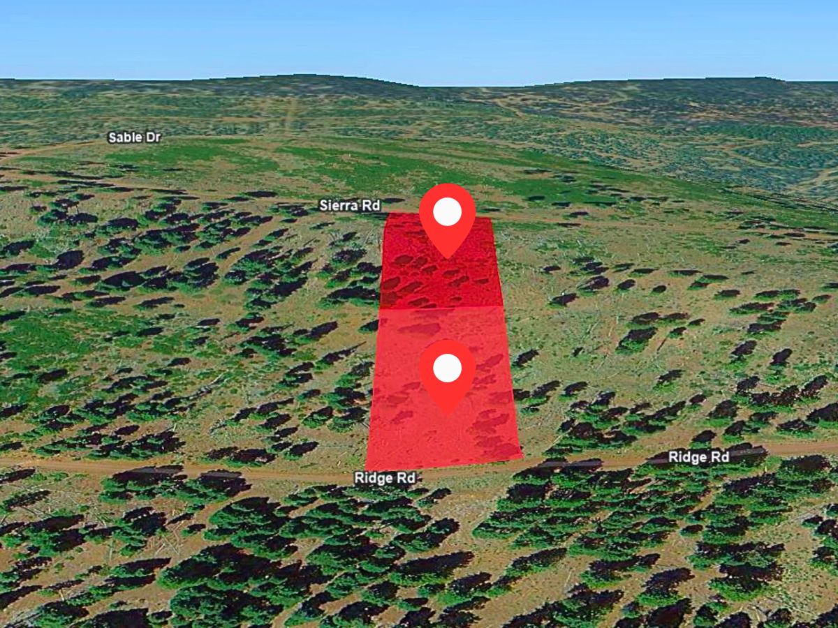 Decorative background for 1.84-Acre Wooded Lot for Sale in Alturas, CA image 11