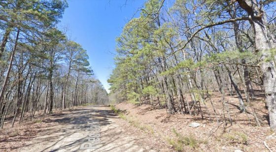 0.25 Acres of Mountainous Treed Land in Van Buren County, AR
