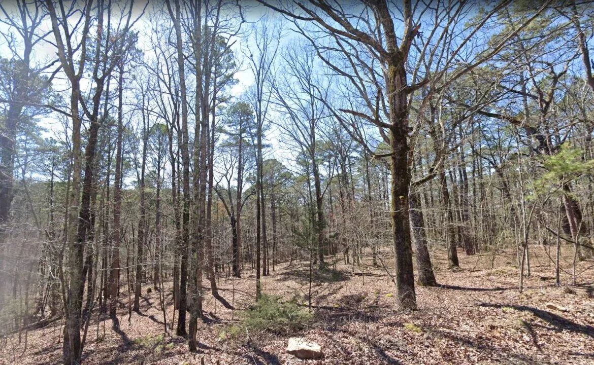 0.25 Acres of Mountainous Treed Land - Image 3